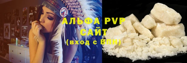 стафф Богданович