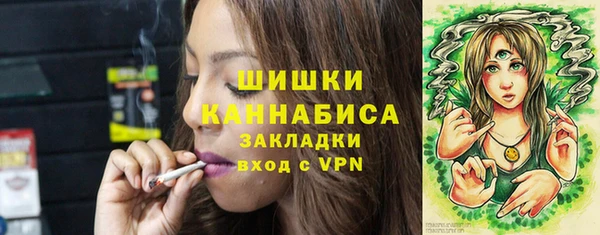 стафф Богданович