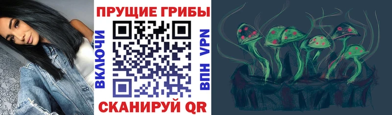 MEGA маркетплейс  Горячий Ключ  Псилоцибиновые грибы GOLDEN TEACHER 