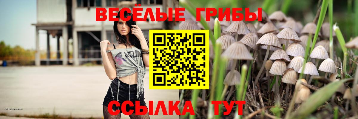 Псилоцибиновые грибы Magic Shrooms  где найти наркотики  Горячий Ключ 